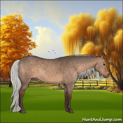 Horse Color:Silver Brown Dun 