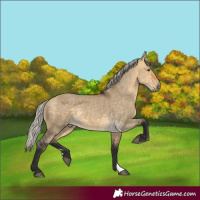 Horse Color:Silver Buckskin Dun 