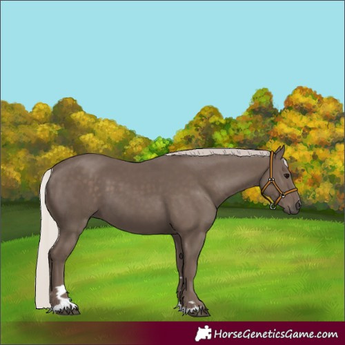 Horse Color:Silver Black 