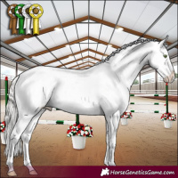 Horse Color:Silver Brown Roan Dun Mushroom Sabino Snowflake VarnishRabicano 