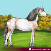Horse Color:White Spotted Bay Frame 
