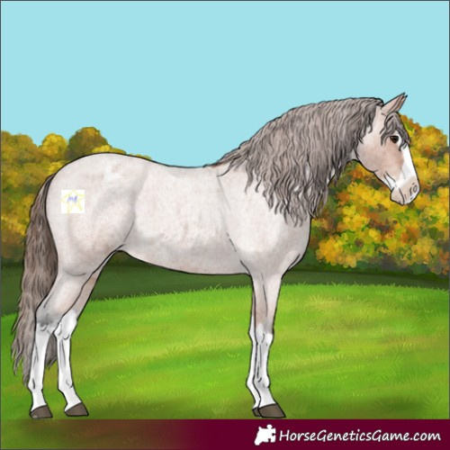 Horse Color:Bay Roan Splash Varnish