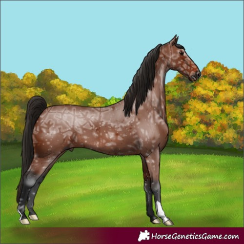 Horse Color:Gray Bay Ice 