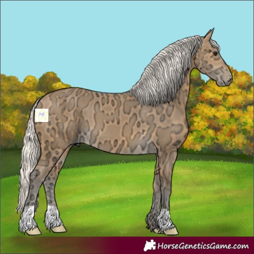 Horse Color:Silver Buckskin Ice 