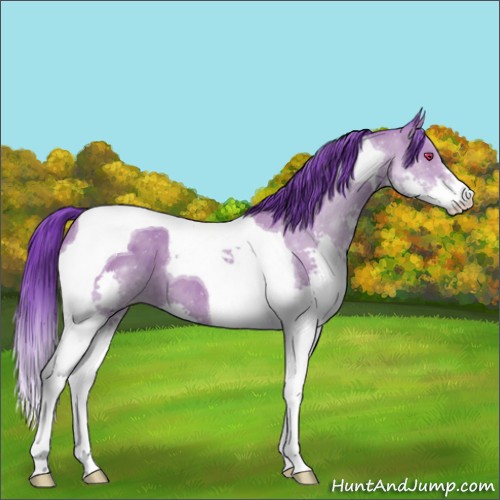 Horse Color:Watercolor Classic Cream Champagne Chinchilla Splash Tobiano