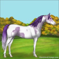 Horse Color:Watercolor Classic Cream Champagne Chinchilla Splash Tobiano 