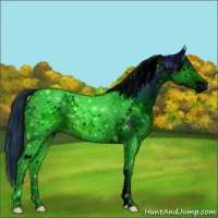Horse Color:ERROR: UNKNOWN ANOMALY