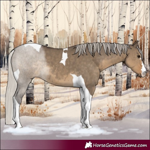 Horse Color:Silver Smoky Grullo Tobiano 