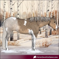 Horse Color:Silver Smoky Grullo Tobiano 