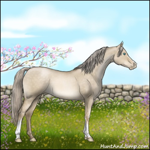 Horse Color:White Spotted Chocolate Palomino Roan Pearl Dun 