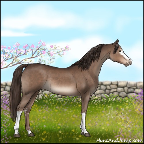 Horse Color:White Spotted Liver Chestnut Rabicano 