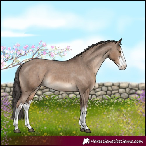 Horse Color:White Spotted Liver Red Dun Varnish 