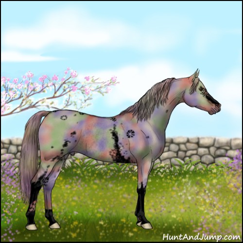 Horse Color:Void Nacre White Spotted Liver Red Dun Rabicano 