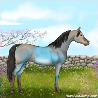 Horse Color:Liver Red Dun Rabicano 