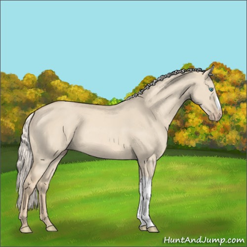 Horse Color:Cremello Dun 