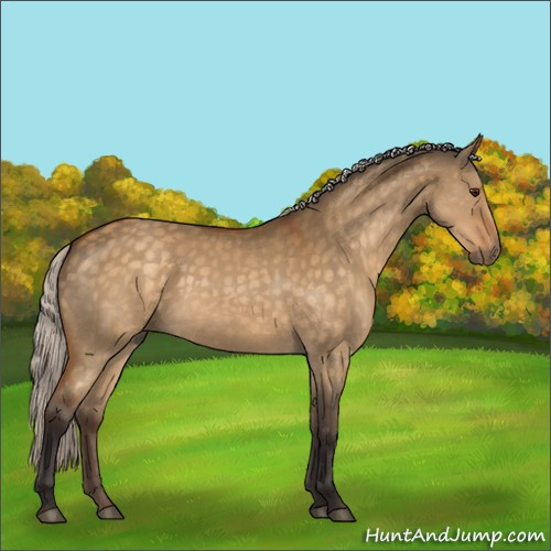 Horse Color:Silver Buckskin Dun