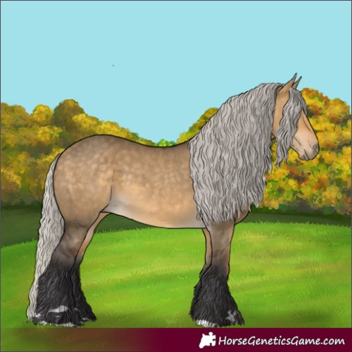 Horse Color:Silver Buckskin Dun 