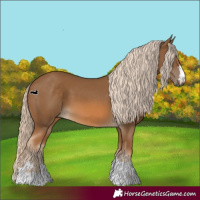 Horse Color:Chocolate Palomino 