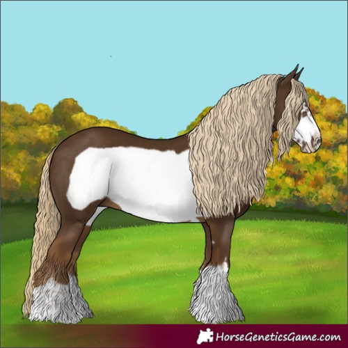 Horse Color:Chocolate Palomino Frame