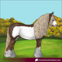 Horse Color:Chocolate Palomino Frame 