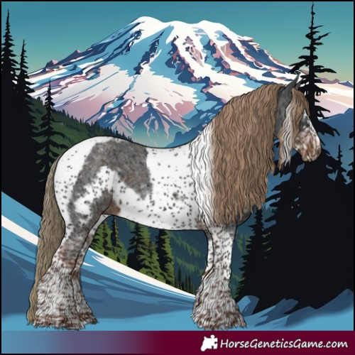 Horse Color:Liver Chestnut Sabino Tobiano Frame 