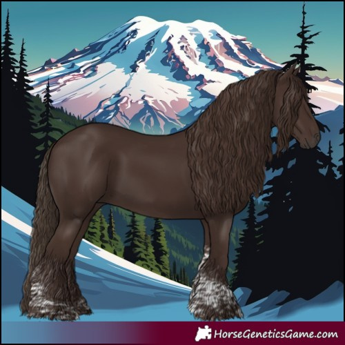 Horse Color:Liver Chestnut Tobiano 