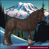 Horse Color:Liver Chestnut Tobiano 