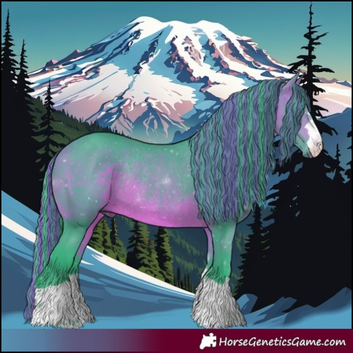 Horse Color:Painted Watercolor Bay Rabicano