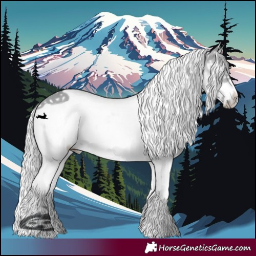 Horse Color:White Spotted Silver Bay Chinchilla Splash Frame