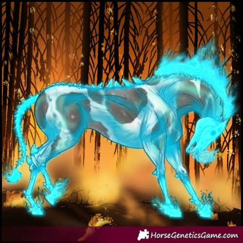 Horse Color:Thunderstruck Grullo Tobiano 