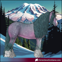 Horse Color:Watercolor Bay 