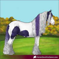 Horse Color:Watercolor Smoky Black Ice Splash Tobiano 