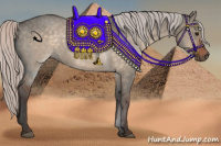 Horse Color:Silver Bay Dun 
