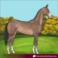 Horse Color:Sable Champagne 