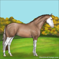 Horse Color:Brown Pearl Splash 
