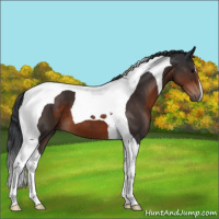 Horse Color:Brown Tobiano