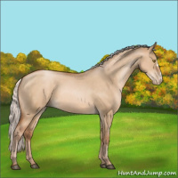 Horse Color:Silver Bay Pearl Dun 