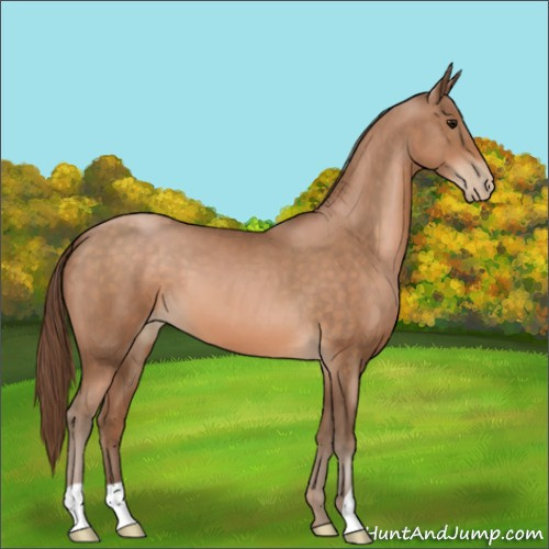 Horse Color:Brown Pearl