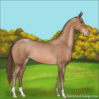 Horse Color:Brown Pearl