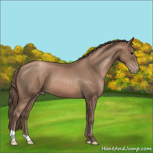 Horse Color:Black Pearl