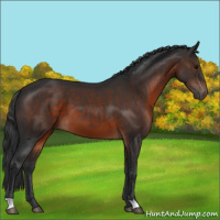 Horse Color:Brown 