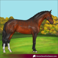Horse Color:Brown 