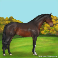Horse Color:Brown 
