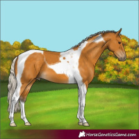 Horse Color:Silver Buckskin Tobiano 