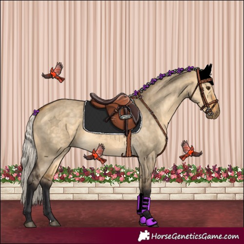 Horse Color:Silver Buckskin Dun 