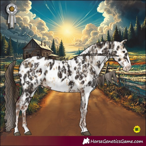 Horse Color:Buckskin Dun Sabino Blanket and Liver Chestnut Frame Near Leopard
