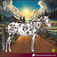 Horse Color:Buckskin Dun Sabino Blanket  and Liver Chestnut Frame Near Leopard 