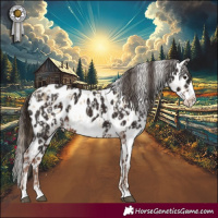 Horse Color:Buckskin Dun Sabino Appaloosa and Liver Chestnut Frame Appaloosa