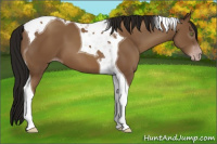 Horse Color:Gray Amber Champagne Tobiano 