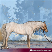 Horse Color:Chocolate Palomino Roan 